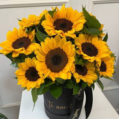 Box Sunflowers M