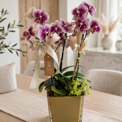 Mini Orquídea em Cubo Âmbar Polonês