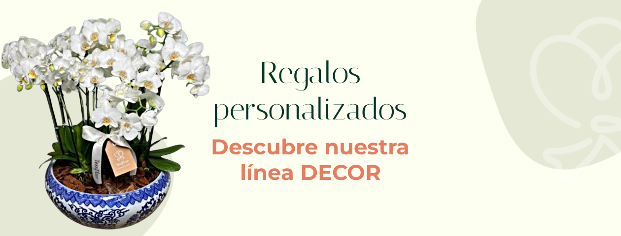 decor es