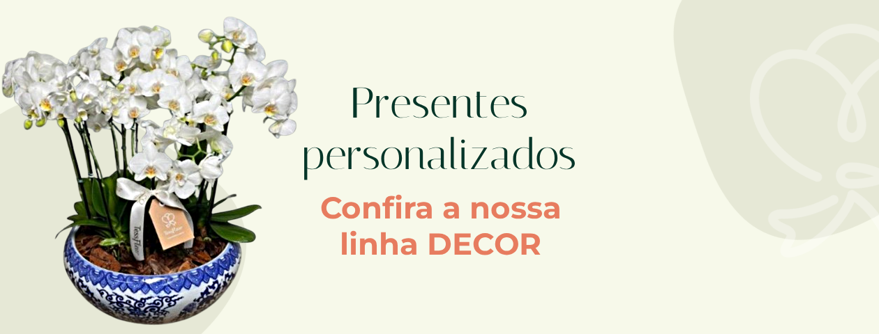 decor br