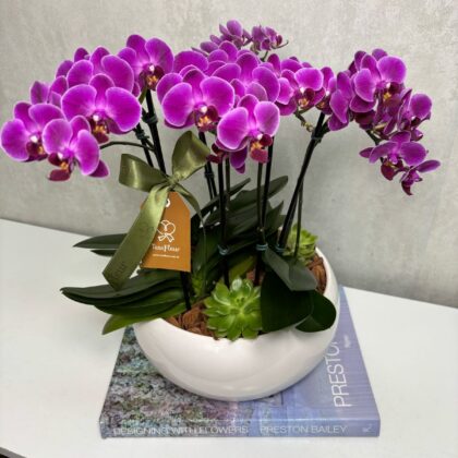 Centro de Mesa Holandês Branco com Mini Orquídeas