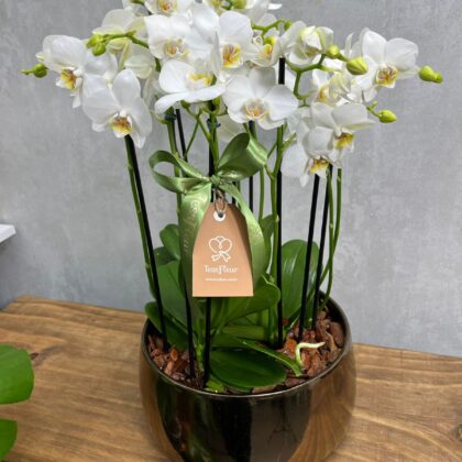 Centro de Mesa com Orquídeas em Vaso Dourado
