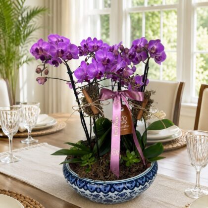 Centro de Mesa Provençal com Mini Orquídeas Rosas