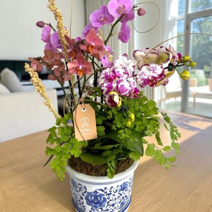 Arranjo Garden com Orquídeas e Verdes em Porcelana Oriental G