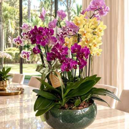Colorful Centerpiece