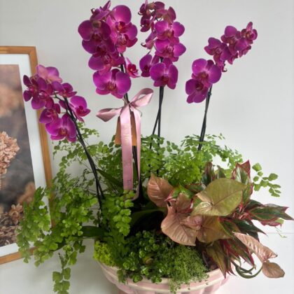 Jardín de Rosas de Cerámica con Orquídeas y Plantas