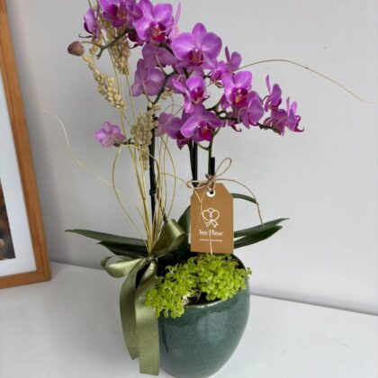 Mini Orquídea en Jarrón de Cerámica