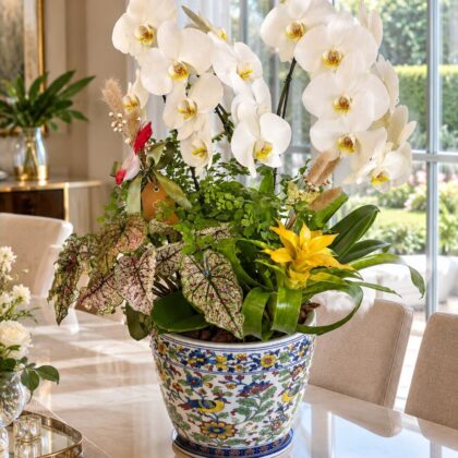 Arranjo de Orquídeas em Vaso Spring Birds GG