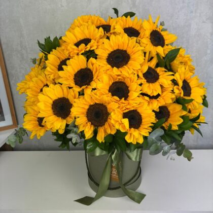 Big Box Sunflowers