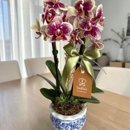 Mini Orchid in Oriental Porcelain P