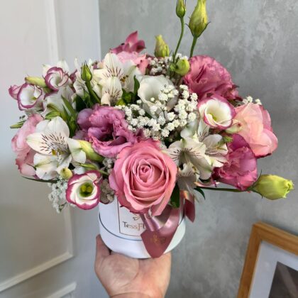Box Delicadeza