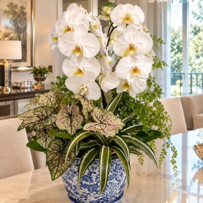 Arranjo de Orquídeas em Vaso Oriental GG