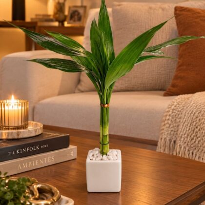 Lucky Bamboo Micro Duster Bubble/Square