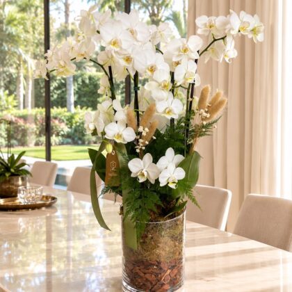 Orquideas Brancas em Cilindro e Vidro