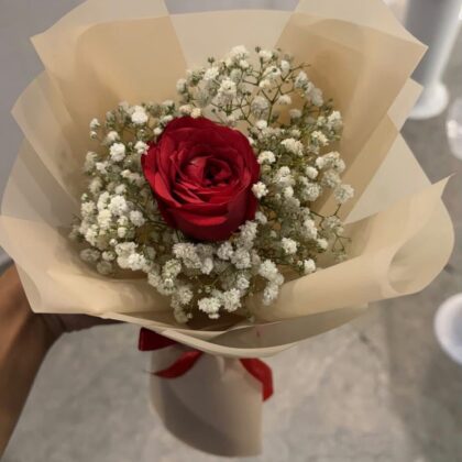 Rosa Mimo Decorada