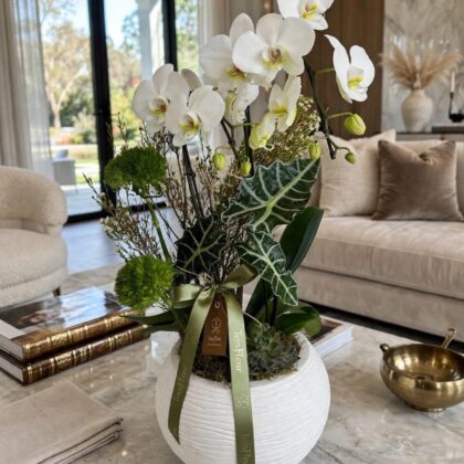 Orquídea Premium 02 Tallos Marcelo Almeida Branca