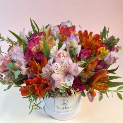 Box de Alstroemerias